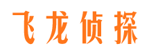 亚东市调查公司